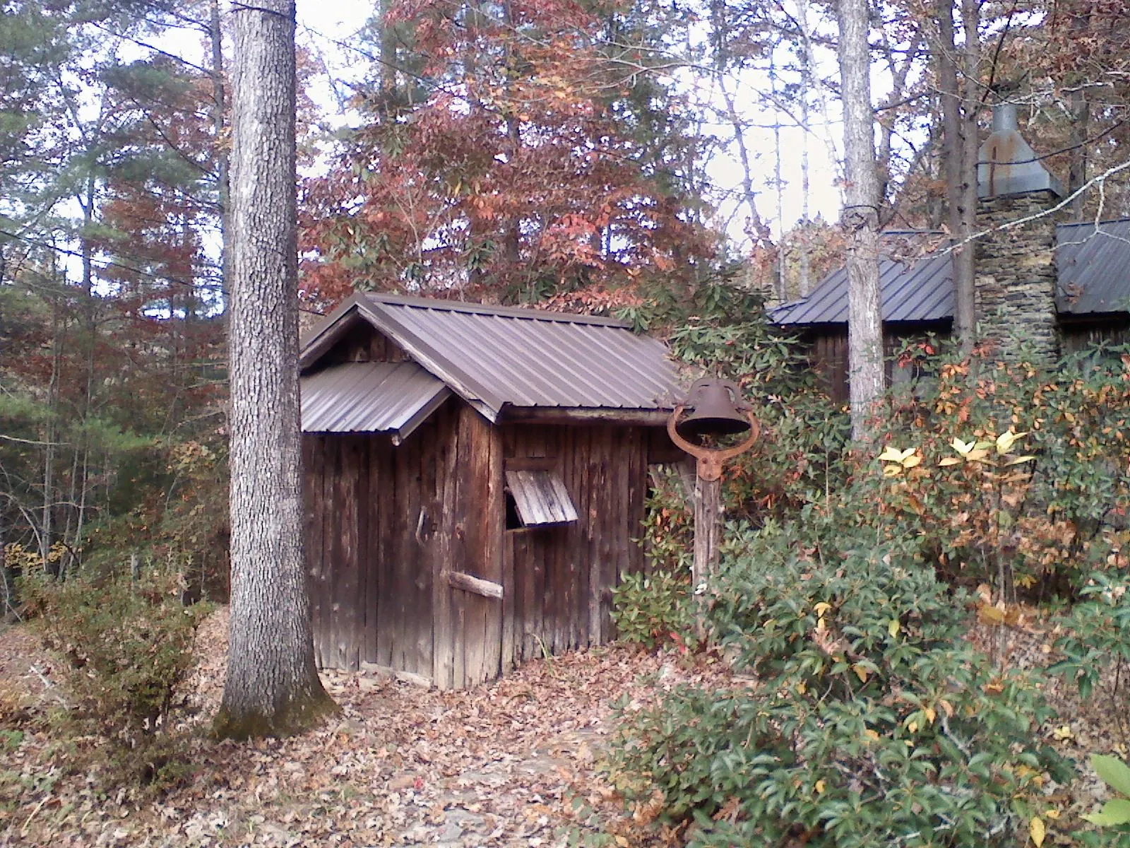 Small metal roof on a rough sawn shed in the woods in Union Springs